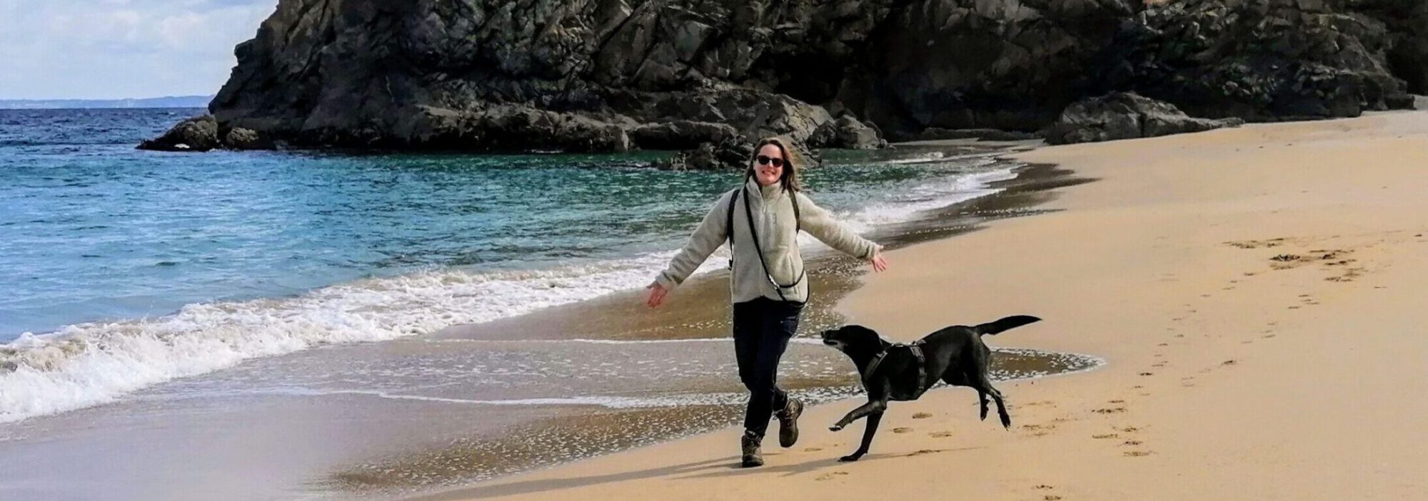 Akupunktur für Hunde mit Arthrose