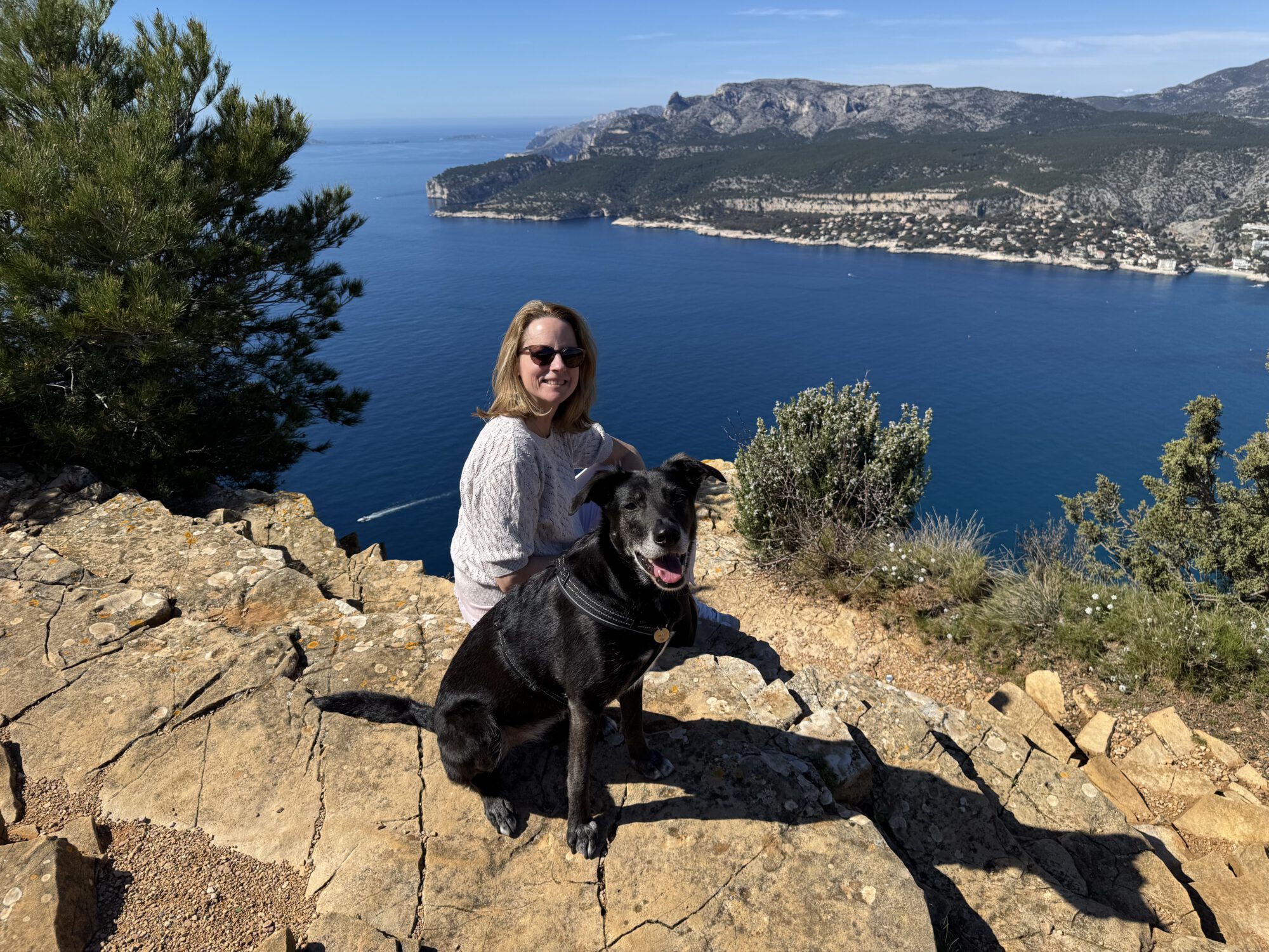 mobile Hundephysiotherapie im Kreis Stormarn